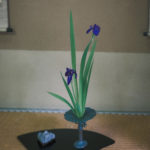 凛々とする杜若